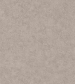 Benton Uni Wallpaper by Caselio Taupe gris moyen