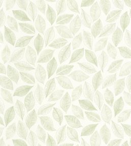 Bliss Wallpaper by Caselio Blanc Vert Mousse