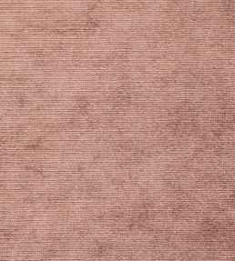 Boho Velvets Fabric by Sanderson Conch