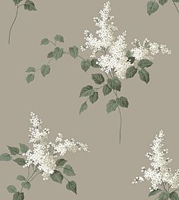 Lilacs Wallpaper by Borastapeter 67