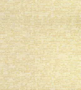 Borealis Fabric by Thibaut Buttercup
