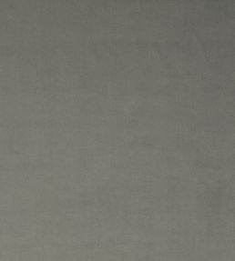 Breamore Fabric by Blendworth Fossil