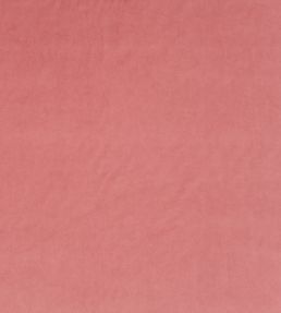 Breamore Fabric by Blendworth Peony