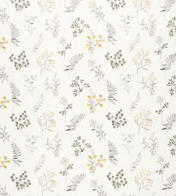 Brigitte Fabric by Clarke & Clarke Pewter/Chartreuse