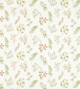 Brigitte Fabric by Clarke & Clarke Spice