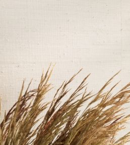 Burlap Wallpaper by Mark Alexander Whitewash