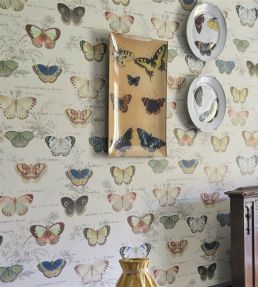 Butterfly Studies Wallpaper by Designers Guild Parchment