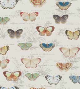 Butterfly Studies Wallpaper by Designers Guild Parchment