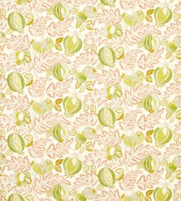 Cantaloupe Outdoor Fabric by Sanderson Matcha/Conch