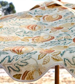Cantaloupe Outdoor Fabric by Sanderson Matcha/Conch