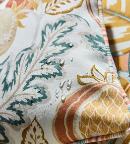 Cantaloupe Outdoor Fabric by Sanderson Matcha/Conch