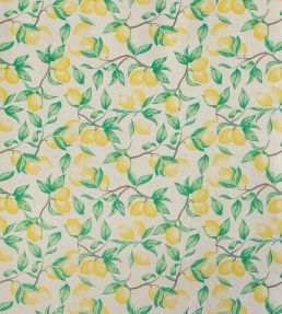 Capri Lemon Fabric by Barneby Gates Natural