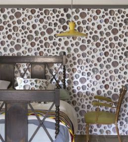 Captain Thomas Browns Shells Wallpaper by Designers Guild Oyster
