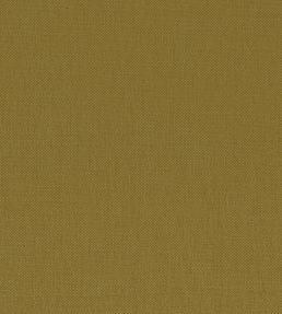 Paris Texas Fabric by Casamance Pistache