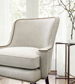Cascade Fabric by Thibaut Dove