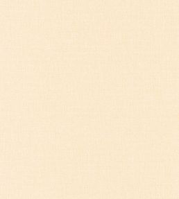 Linen Uni Wallpaper by Caselio 3000