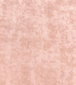 Celeste Velvet Fabric by Thibaut Blush