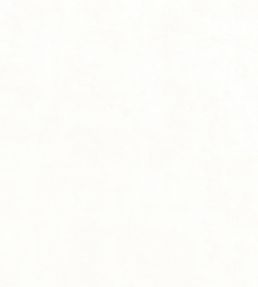 Celeste Velvet Fabric by Thibaut Ivory