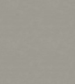 Cipriana Fabric by Warwick Champagne