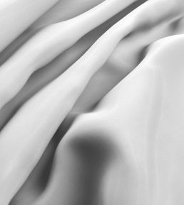 Cipriana Fabric by Warwick Optic