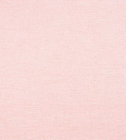 Clara Fabric by Thibaut Seashell