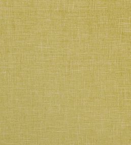 Albany Fabric by Clarke & Clarke Citron