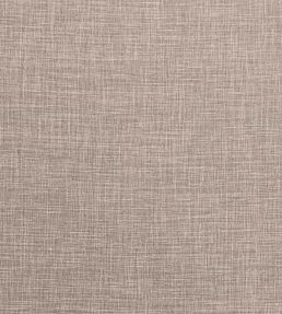 Albany Fabric by Clarke & Clarke Latte