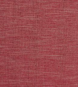 MorayFabric Fabric by Clarke & Clarke Raspberry