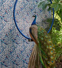 Emma J Shipley Rousseau Wallpaper by Clarke & Clarke Jungle