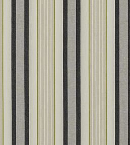 Belvior Fabric by Clarke & Clarke Charcoal/Charteuse