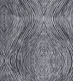 Luster Fabric by Clarke & Clarke Charcoal