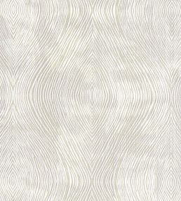 Luster Fabric by Clarke & Clarke Ivory