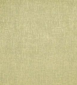 Patina Fabric by Clarke & Clarke Citrus