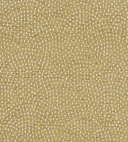 Nebula Fabric by Clarke & Clarke Antique