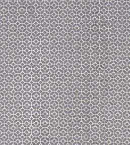 Orbit Fabric by Clarke & Clarke Charcoal