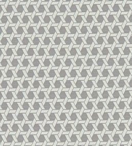 Saturn Fabric by Clarke & Clarke Charcoal