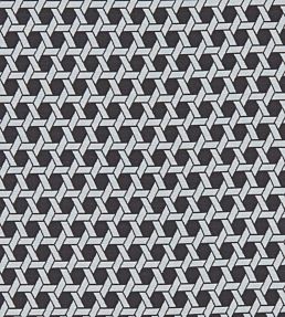 Saturn Fabric by Clarke & Clarke Noir