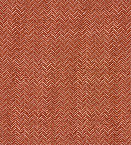 Trinity Fabric by Clarke & Clarke Spice