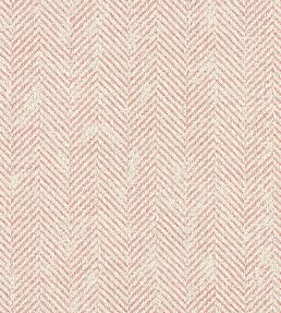 Ashmore Fabric by Clarke & Clarke Blush