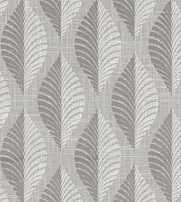Aspen Fabric by Clarke & Clarke Charcoal