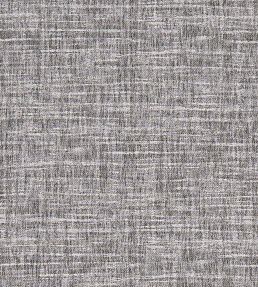 Mizo Fabric by Clarke & Clarke Charcoal