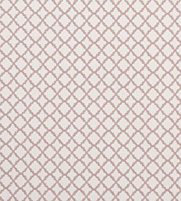 Ariyana Fabric by Clarke & Clarke Blush