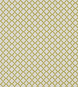 Ariyana Fabric by Clarke & Clarke Chartreuse