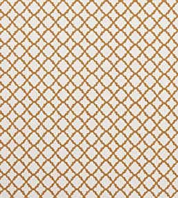 Ariyana Fabric by Clarke & Clarke Spice