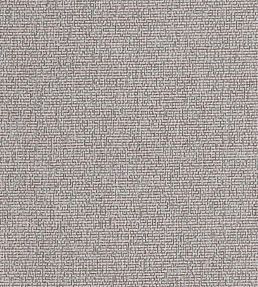 Acies Fabric by Clarke & Clarke Blush