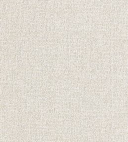 Acies Fabric by Clarke & Clarke Dove