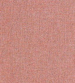 Acies Fabric by Clarke & Clarke Spice
