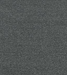 Felpa Fabric by Clarke & Clarke Graphite