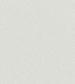 Filum Fabric by Clarke & Clarke Polar