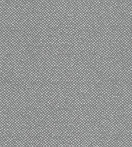 Filum Fabric by Clarke & Clarke Storm